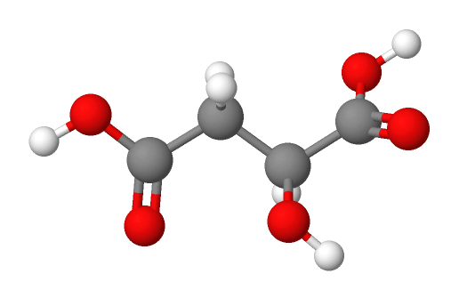 Molecular model of Malic acid